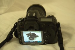 D90